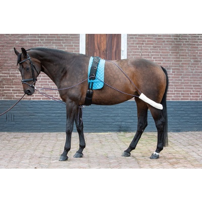 Harry's Horse Longeerhulpteugel - full Foto van Harry's Horse Longeerhulpteugel - full