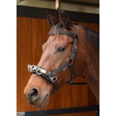 Harry's Horse Kaptoom Nylon - pony Foto van Harry's Horse Kaptoom Nylon - pony