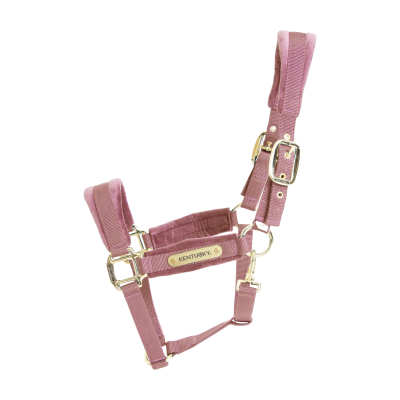 Foto van Kentucky Velvet halster Old rose- Shetty