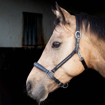 Harry's Horse Halster Leder Finesse Crystal zwart- pony
