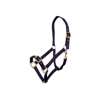 Foto van Premiere halster Blauw- Pony