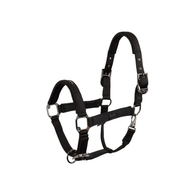 Foto van BR Eevolv halster Josh Meteorite- Pony