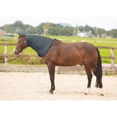 Harry's Horse Halsstuk Thor 200gr ebony- xl