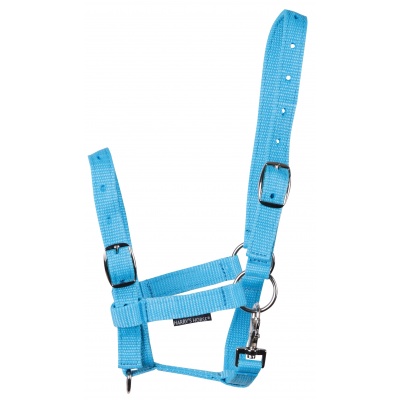 Harry's Horse Veulenhalster licht-blauw Foto van Harry's Horse Veulenhalster licht-blauw