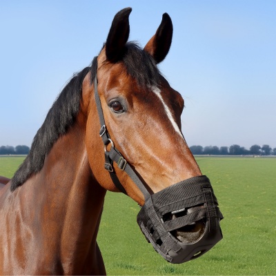 Harry's Horse Graasmasker Grazing muzzle Air - xl Foto van Harry's Horse Graasmasker Grazing muzzle Air - xl