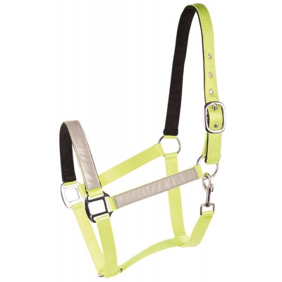 Harry's Horse Halster Reflective - full