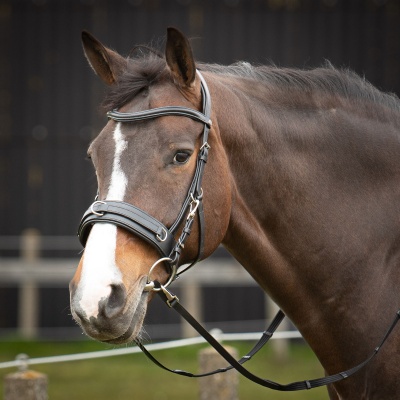 Harry's Horse Kaptoom hoofdstel Leder Comfort zwart- pony