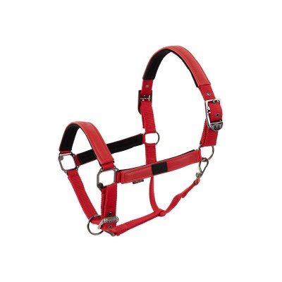 BR halster Jade Tango Red- Pony