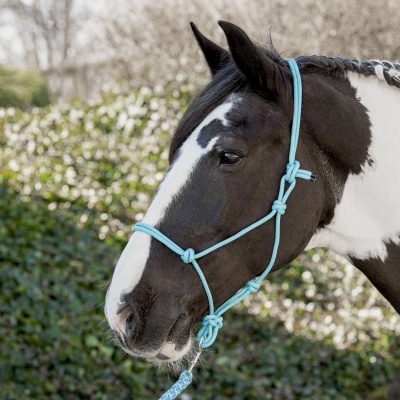 Harry's Horse Touwhalster paars- pony