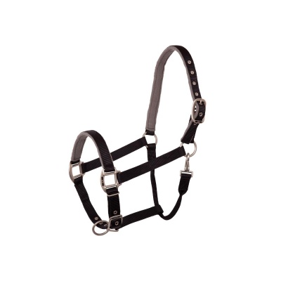 BR halster Event Zwart- Pony