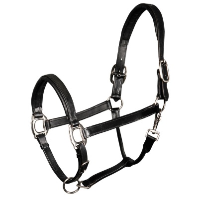 Harry's Horse Halster Leder Padded bruin- cob