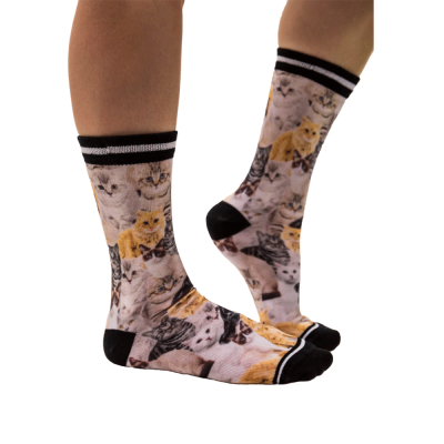 Foto van Sock My Feet Cat
