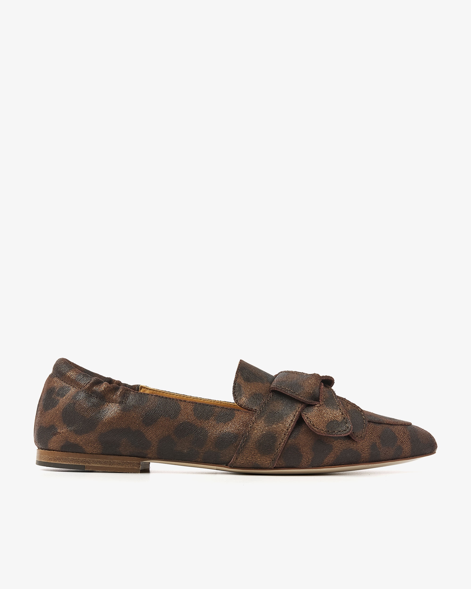 Mocassin