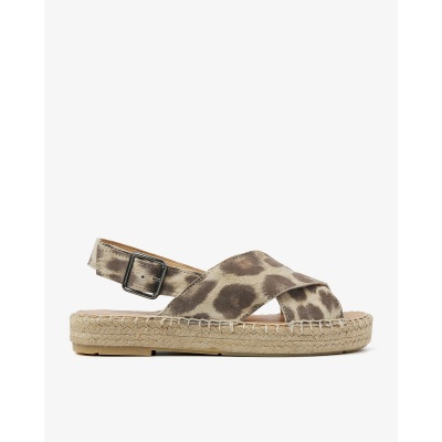 Sandaal Foto van Sandaal