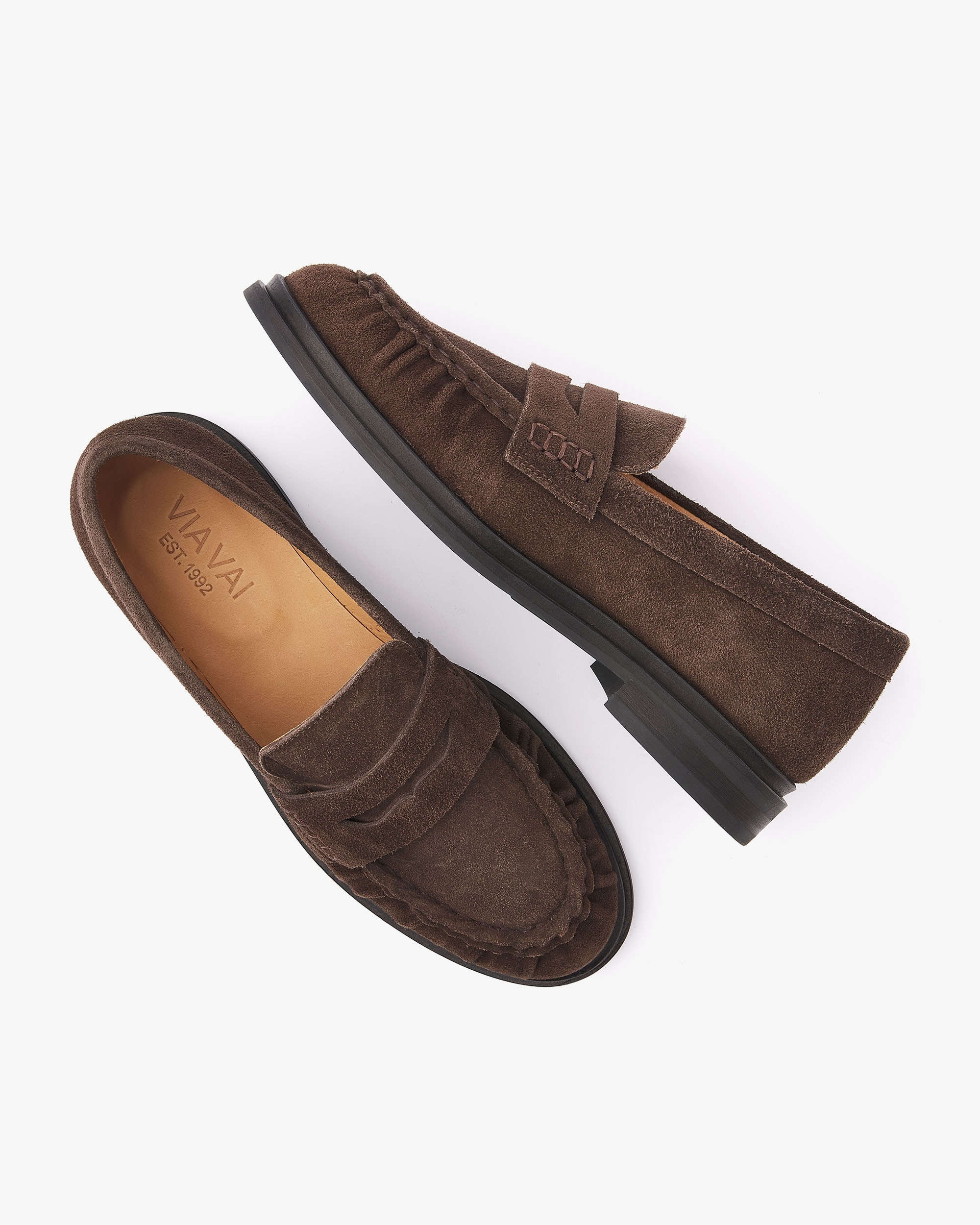 Moccassin