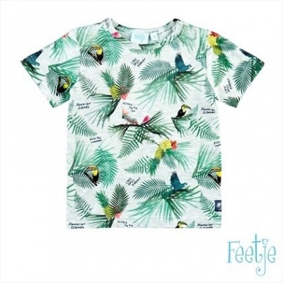 Feetje baby boys T-Shirt Mini Island l. grijs melange Feetje baby boys T-Shirt Mini Island l. grijs melange