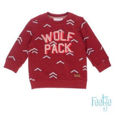 Feetje baby boy Sweater all over print Wolf pack - Good fellows Donker rood Feetje baby boy Sweater all over print Wolf pack - Good fellows Donker rood