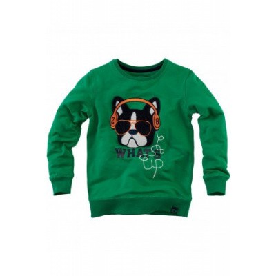Z8 boys Pepijn Sweater Groovy Green Z8 boys Pepijn Sweater Groovy Green