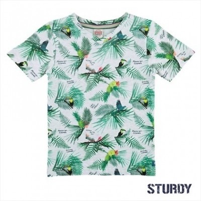 Sturdy t-shirt grijs melange Island Sturdy t-shirt grijs melange Island