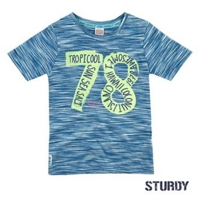 Sturdy T-shirt Island Indigo Sturdy T-shirt Island Indigo