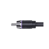 Afbeelding van Eton RCAP-YM