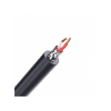 Afbeelding van Eton RCA2P-55