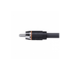 Afbeelding van Eton RCA2P-55