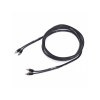 Afbeelding van Eton RCA2P-55