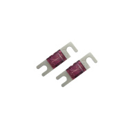 4Connect 4-690651 - Mini ANL zekering 30A - 2 stuks
