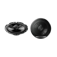 Pioneer TS-G1730F - Demo