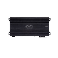 Digital Designs D1100