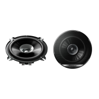 Pioneer TS-G1310F - Demo