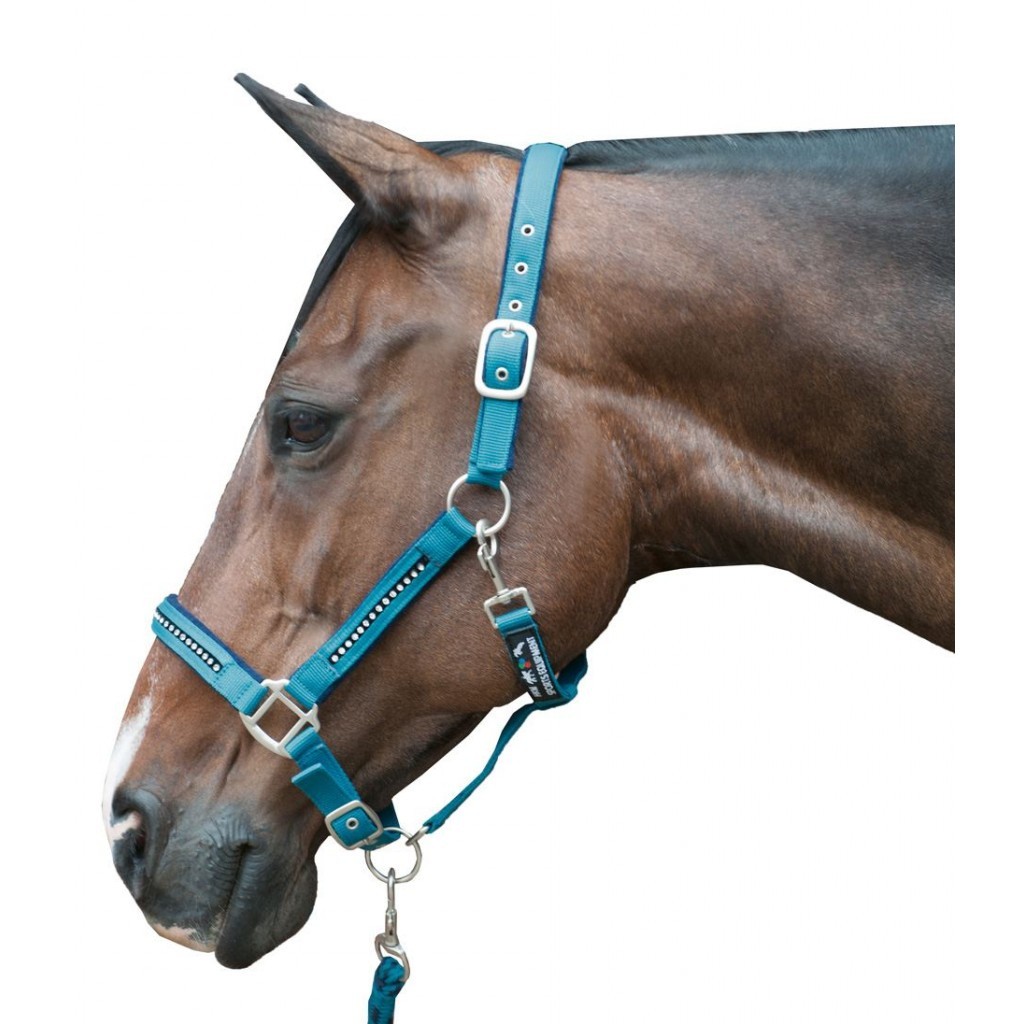 Halsterset Crystal petrol/navy