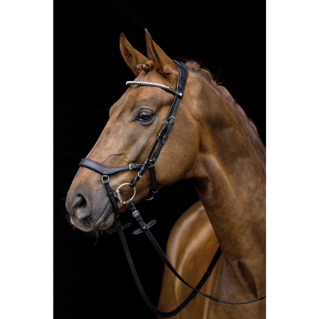 Hoofdstel Prp Anatomic