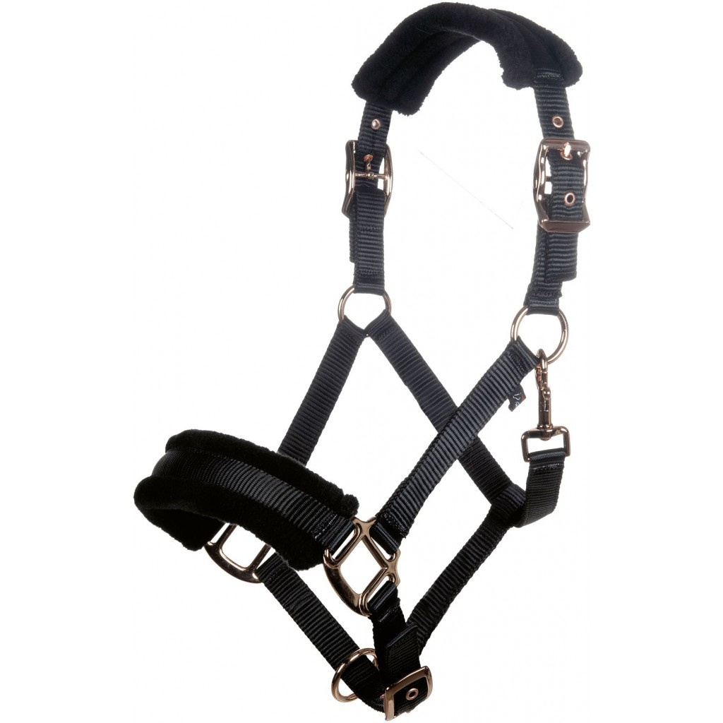 halster rosegold glamour style