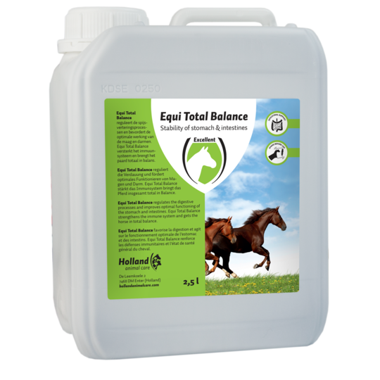 Equi Total Balance