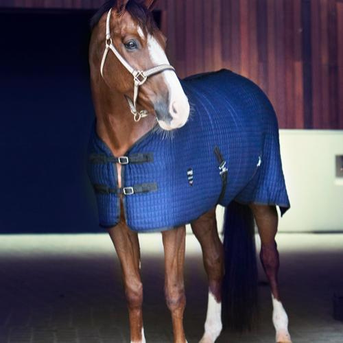 catago cooler zweetdeken