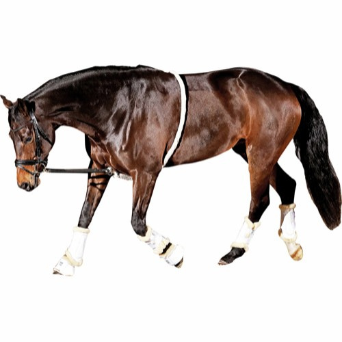 Horse Guard zacht longeerhulp