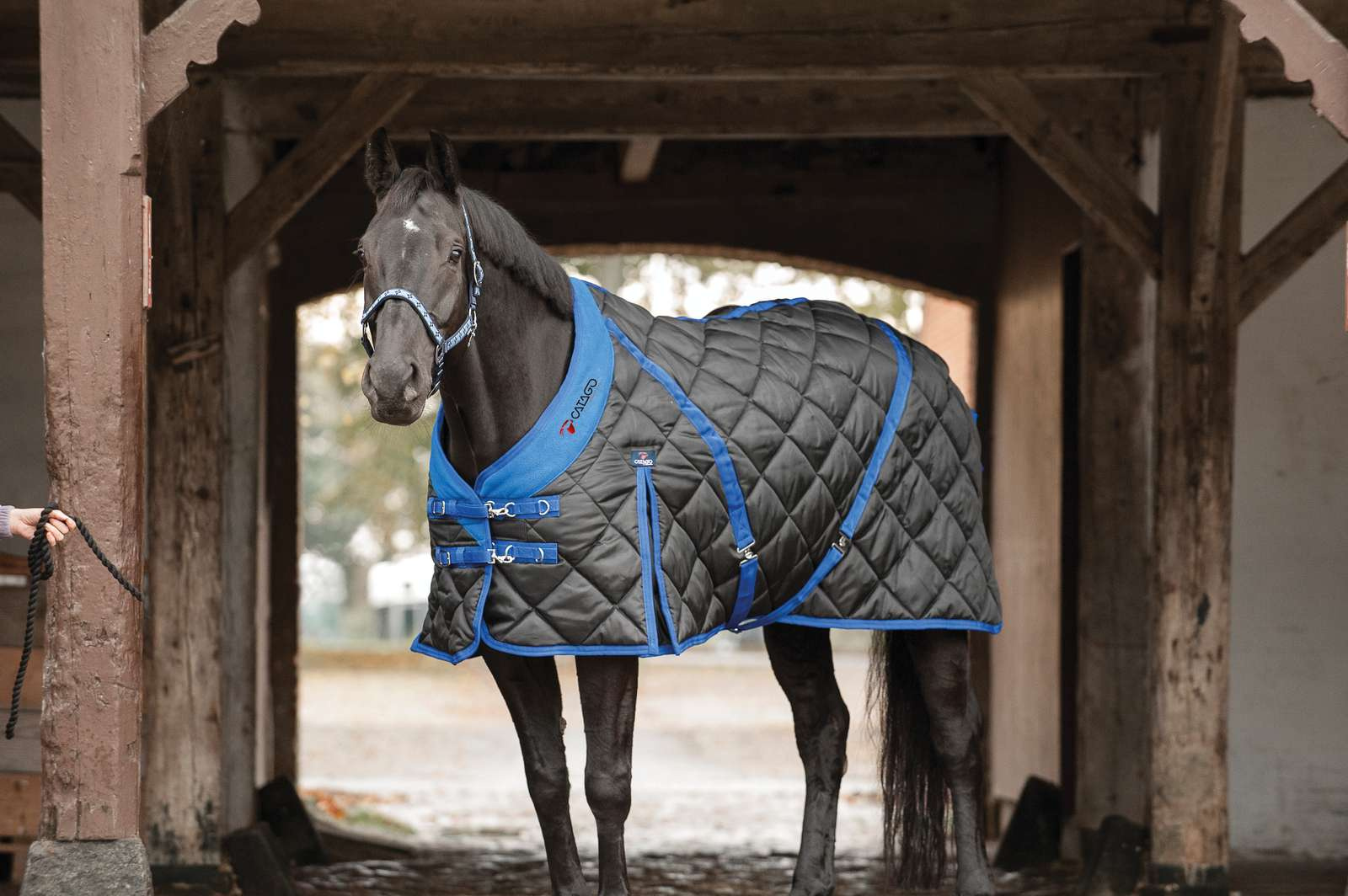catago staldeken blue