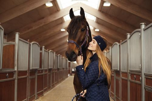 Horse Guard gestreept halster rose gold