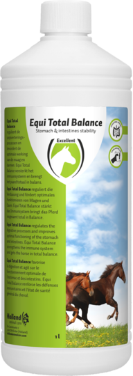 equi total balance