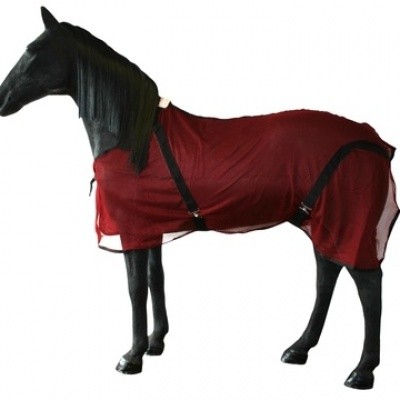 Vliegendeken paard Vliegendeken paard