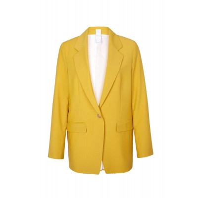 Foto van Drykorn Blazer Glendale geel