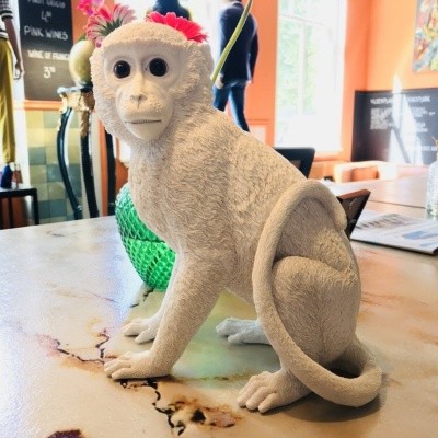 &Klevering Coinbank Monkey White &Klevering Coinbank Monkey White