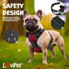 Afbeelding van Lovpet® Hondentuigje zonder trein en wurgen voor kleine honden en puppy's, ademend en zacht borsthar