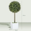 Afbeelding van HOMCOM Kunststof Kunstmatige Topiaries 10x10x45 cm Groen