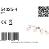 Afbeelding van Globo Willy nikkel metalen opbouwspot E27 54025-4