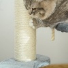 Afbeelding van PawHut kattenboom klimboom grijs Ø 40 x h 65 cm