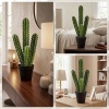 Afbeelding van Homcom Kunstplant van Kunststof - 13L x 13B x 53H cm - Groen
