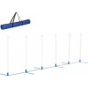 Afbeelding van PawHut Honden slalompalen voor behendigheidstraining met tas - Wit en blauw
